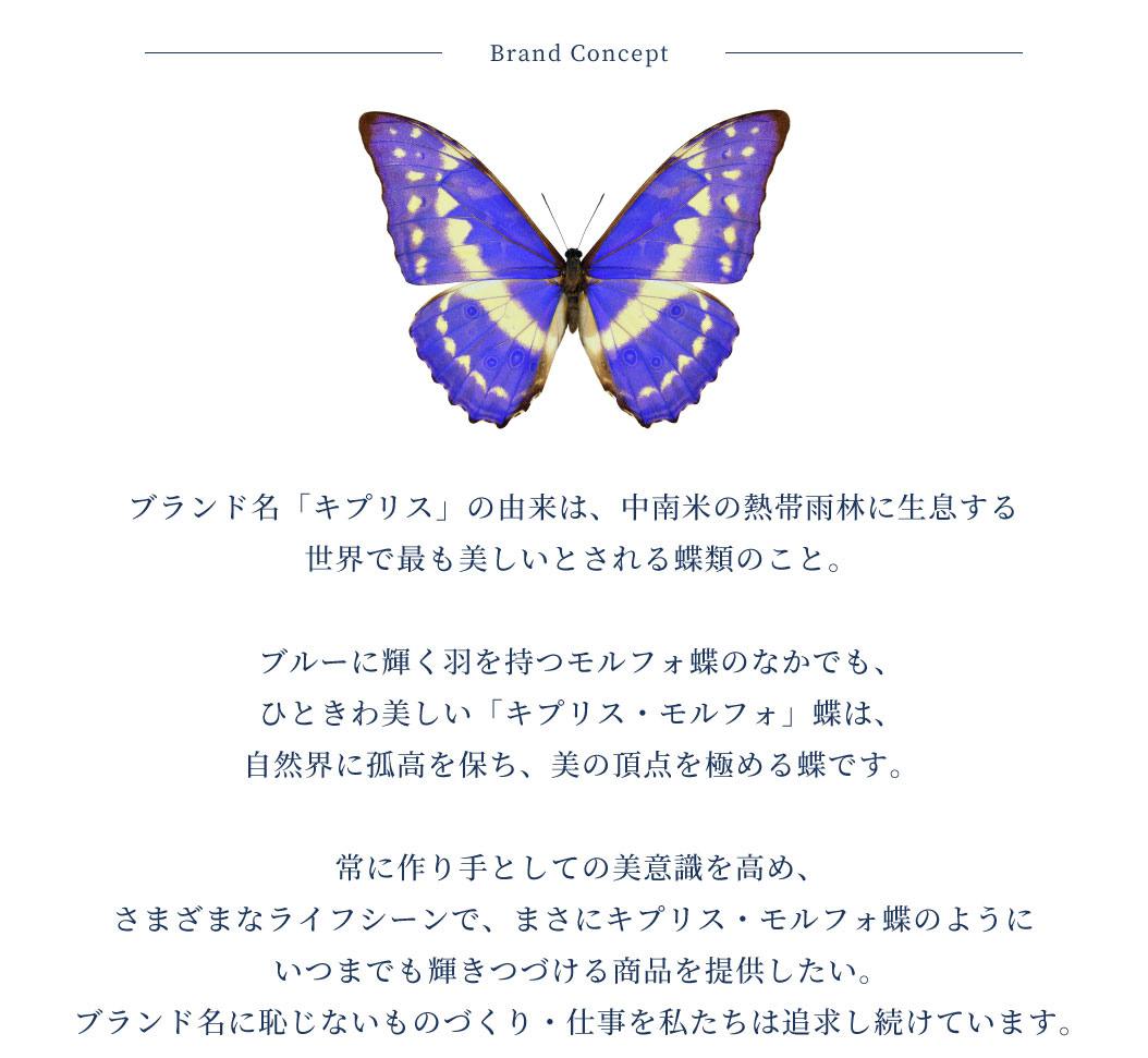キプリス】札ばさみ/マネークリップ□シラサギレザー