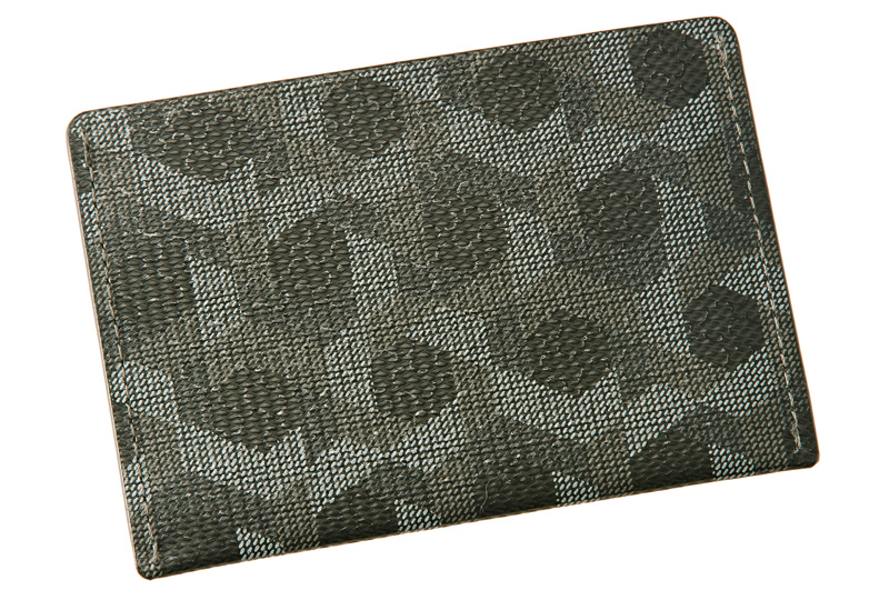 【キプリス】パス入れ■チェスティーノ